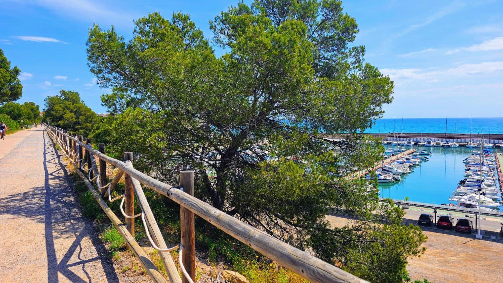 Royal Oropesa Lejlighed Oropesa del Mar Eksteriør billede