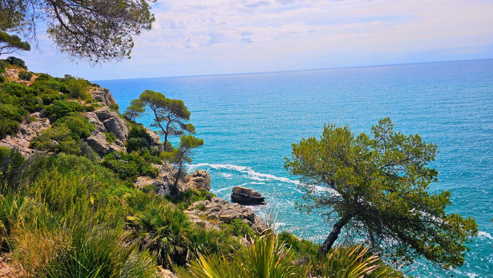 Royal Oropesa Lejlighed Oropesa del Mar Eksteriør billede