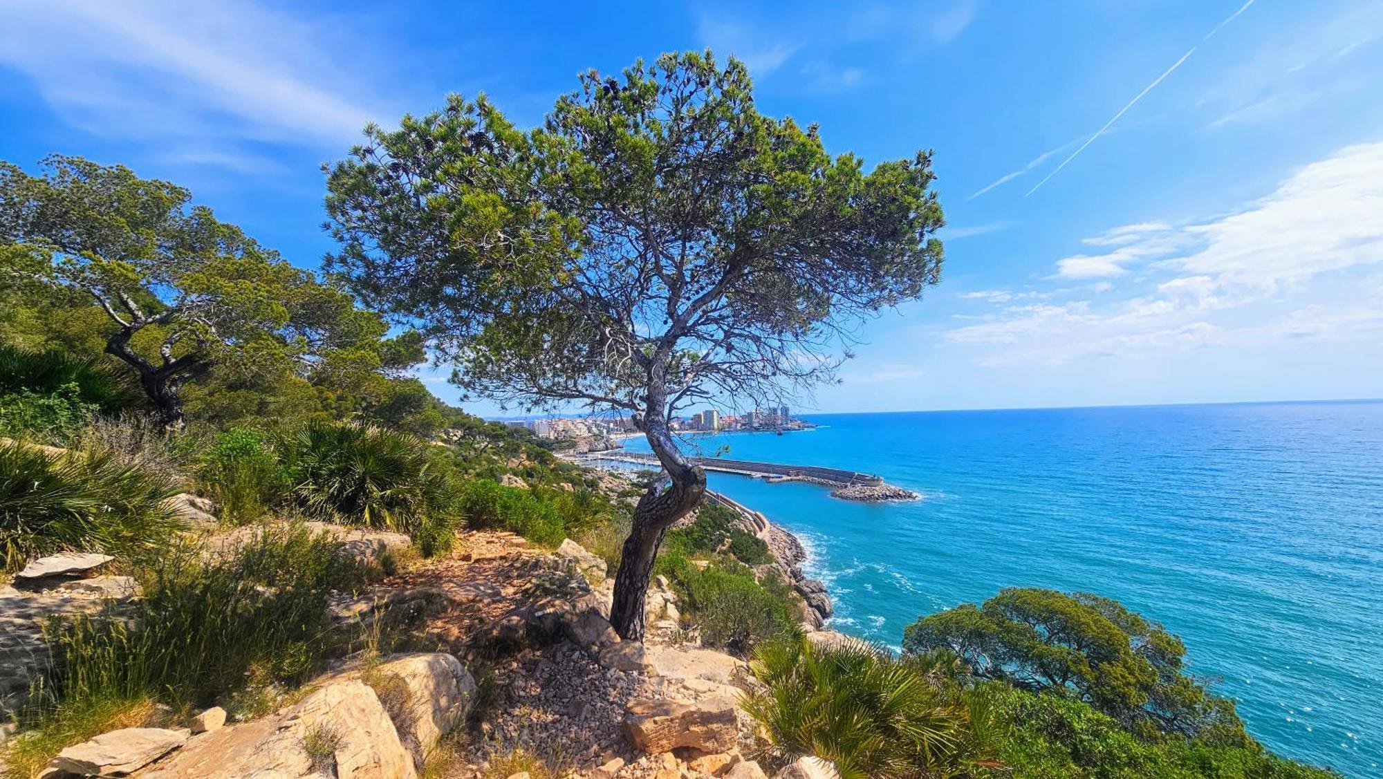 Royal Oropesa Lejlighed Oropesa del Mar Eksteriør billede